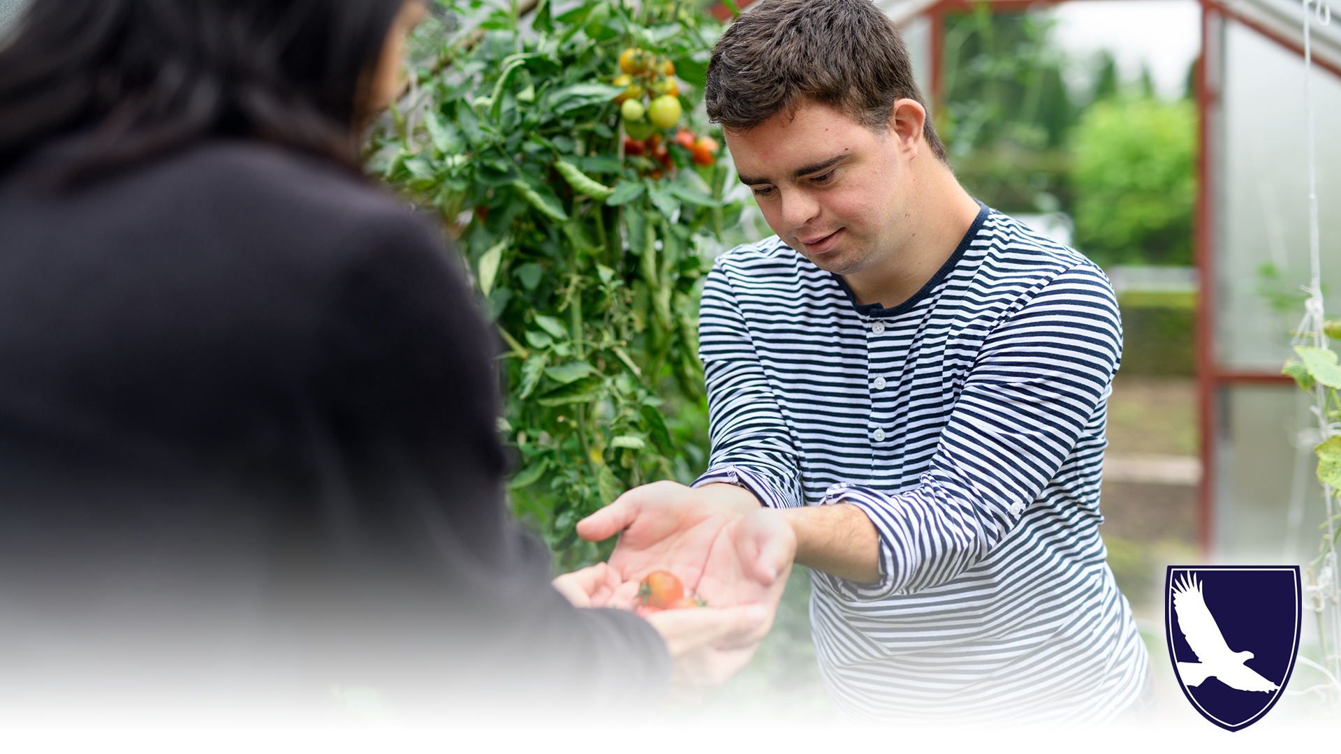 INTELLECTUAL DISABILITY (MENTAL RETARDATION) AND SSDI OR SSI